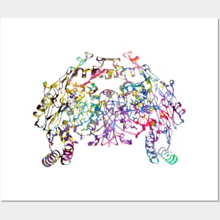 Nitric oxide synthase molecule Posters and Art